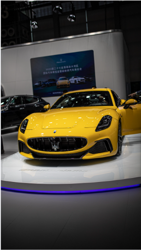 八戒八戒在线看免费观看电视剧